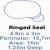 Ringed Seal